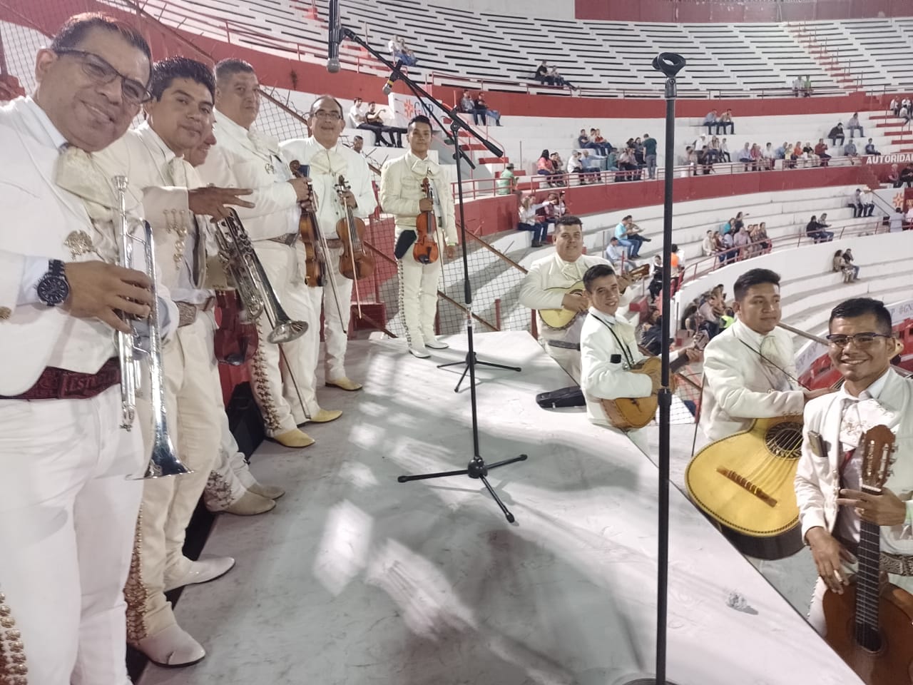 Violín de mariachi para serenatas